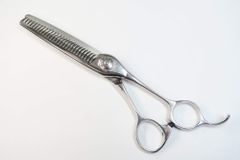 Item thumbnail for item 36678d5d-a5d2-4244-a031-b3f3d5894d6e