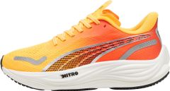 Item thumbnail for item dd4f19ad-1478-4877-ab72-0ae784591347