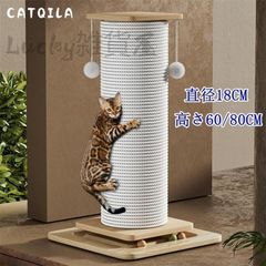 Item thumbnail for item 15bb5849-6f2a-4950-abc2-55bcd5340754