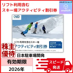 スキー場アクティビティ割引券（リフト利用含む）日本駐車場開発 2026年グリーンシーズンまで