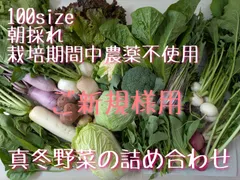 【1月5日(月)発送/ご新規様用】真冬野菜の詰め合わせ(栽培期間中農薬不使用)
