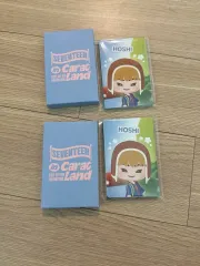 SEVENTEEN 2025 CARAT LAND カラットゾーン トレカ+パズル 틴 フルセット