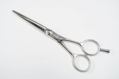 Item thumbnail for item a7388222-0f0e-4218-afc9-4eb95df71d65