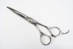 Item thumbnail for item e3eed0e8-0373-412d-a3b0-3bbb5ea0d8ca