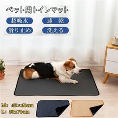 Item thumbnail for item 90579dbf-16fb-4e26-b6b4-443a0b34bd53