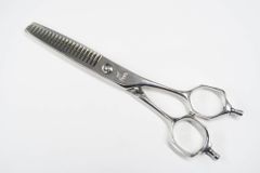 Item thumbnail for item 62f3eba8-5b6a-499d-8e61-2a3eb2219f1f