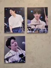 ドウン センイルカフェ トレカ 写真