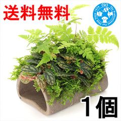 Item thumbnail for item 07db8847-dcd1-490b-8829-1aec3d8b224e