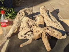 Item thumbnail for item 8618ce60-04bb-4d5c-b27a-6098c0c0dad0