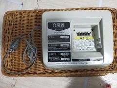National 電気カーペット DC-44 本体 - メルカリ