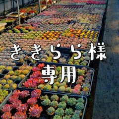 ききらら様専用