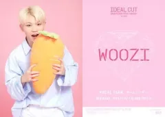 【中古】コレクションカード(男性) 041[ノーマルカード]：SEVENTEEN/WOOZI(ウジ)/ノーマルカード/「2018 SEVENTEEN CONCERT‘IDEAL CUT’ IN JAPAN」トレーディングカード
