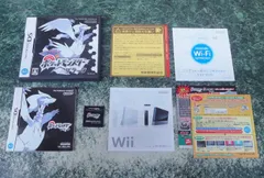 DSソフト　ポケットモンスター ブラック