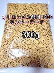 Item thumbnail for item 9eebe822-f42c-4542-861f-196540bf0d16