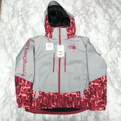 日本未入荷　海外限定　ノースフェイス　平昌オリンピック　中綿ダウンジャケット 日本未入荷 海外限定 ノースフェイス 平昌オリンピック 中綿ダウン