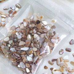 Item thumbnail for item 4bc43d62-6357-45db-ba49-515bf1ce4812