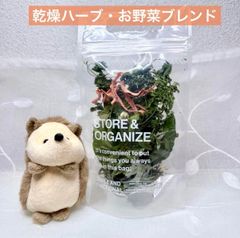 Item thumbnail for item e715e091-2851-44c1-9c40-36f82c15fddc