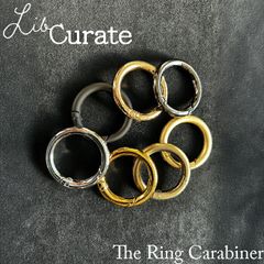 Item thumbnail for item 1fb046ca-1a86-4aea-8873-3b04660c7614