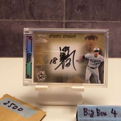 Item thumbnail for item 336fd36d-e28e-4cd0-88ec-723d813b1b33