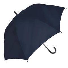 Item thumbnail for item 7c6ea3fc-79fa-42d8-ac77-c913a1f35c4a