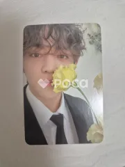 Seventeen セブチ エスクプス FML CARAT Ver.