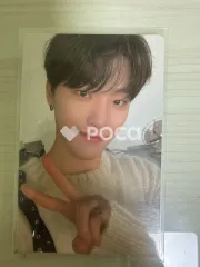 Seventeen ディノ Face the Sun CARAT Ver.