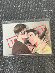 BOMTOON 2020 はがき 범을 길들이는 요령 レッド CANDY ソーラー エクリプス