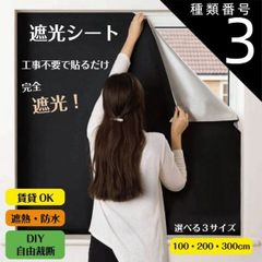 Item thumbnail for item 836e44a9-7222-4de0-98b1-081a0cdab635