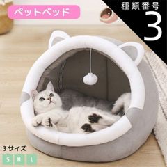 Item thumbnail for item ac18b17f-62ca-48a9-9bd1-727dee6878f0