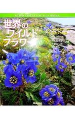 Item thumbnail for item 20c92776-4d67-4296-aa9b-7fe9bd03e6a7