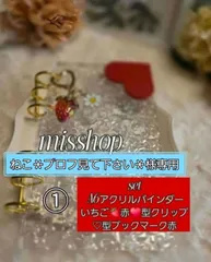 ◆ねこ＊プロフ見て下さい＊◆◇おまとめ2点◇◆A6アクリルバインダーset貯金saving家計管理クリア新品バインダー貯金A6アクリルバインダー水流　韓国　saving　家計管理　貯金リフィル　貯金バインダー　 推し活　いちごデイジーチャームset　カラフル