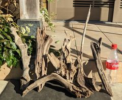 Item thumbnail for item a87e9958-bef2-4e0d-a762-64600013485b