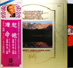 レコード KARAJAN 華麗なるカラヤン名曲の世界 10枚組ブックケース入 2026年最新】KARAJAN 華麗なるカラヤン 名曲の世界 レコードの人気
