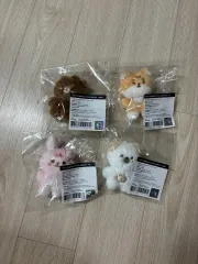 開封のみ) DAY6（デイシックス） 쁘쁘멀 まとめ