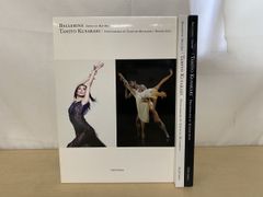 Item thumbnail for item 48b49fe1-9554-4208-acae-984d3190806f