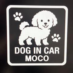 Item thumbnail for item 78889d3c-ffe2-4d31-9ce1-19924d0eccbf