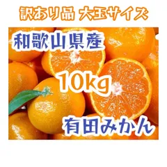 和歌山県産 有田みかん 訳あり品 大玉サイズ 10kg