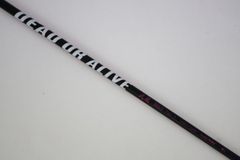 Item thumbnail for item 6bfebaad-2de3-4bad-8e9f-aa76ec6702c7