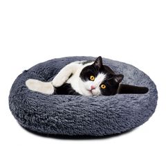 Item thumbnail for item 1e37d9b7-32d6-4c7b-8a83-a4f5683f9d3e