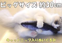 Item thumbnail for item 0418e1fa-9b4e-4ffe-af00-ccd1d448fc27