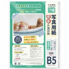 Item thumbnail for item 07fe6000-997a-4657-84a1-3b119d40088b