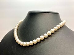 Item thumbnail for item ffd9b479-a516-4505-9970-04d786ffccf3