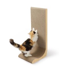 Item thumbnail for item a93136dc-f92a-4dc9-a280-a66de6f18c29