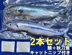 Item thumbnail for item eb099a3f-61a9-4ff1-bb66-b1489d2b4a68