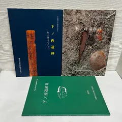 下ノ西遺跡 3冊セット 和島村 新潟県 遺跡 考古学 資料 歴史