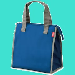 5L ダークブルー 保冷ランチバッグ RFC-005 サーモス DB