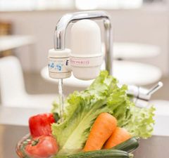 Item thumbnail for item 0b33e441-83b7-4a8e-9836-454a3bf2d3a0