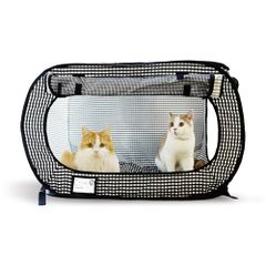 Item thumbnail for item 51a35fd7-5656-43db-a104-35b0065cfd6d