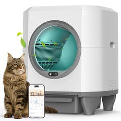 Item thumbnail for item e4293b63-8333-41e3-9578-6607041870d3