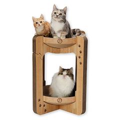 Item thumbnail for item a4636bfe-efe2-40bd-914b-a77a7a43119d